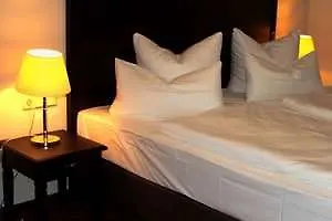 酒店 Mutiger Ritter 巴特克森