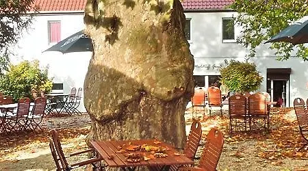 Mutiger Ritter 酒店 巴特克森